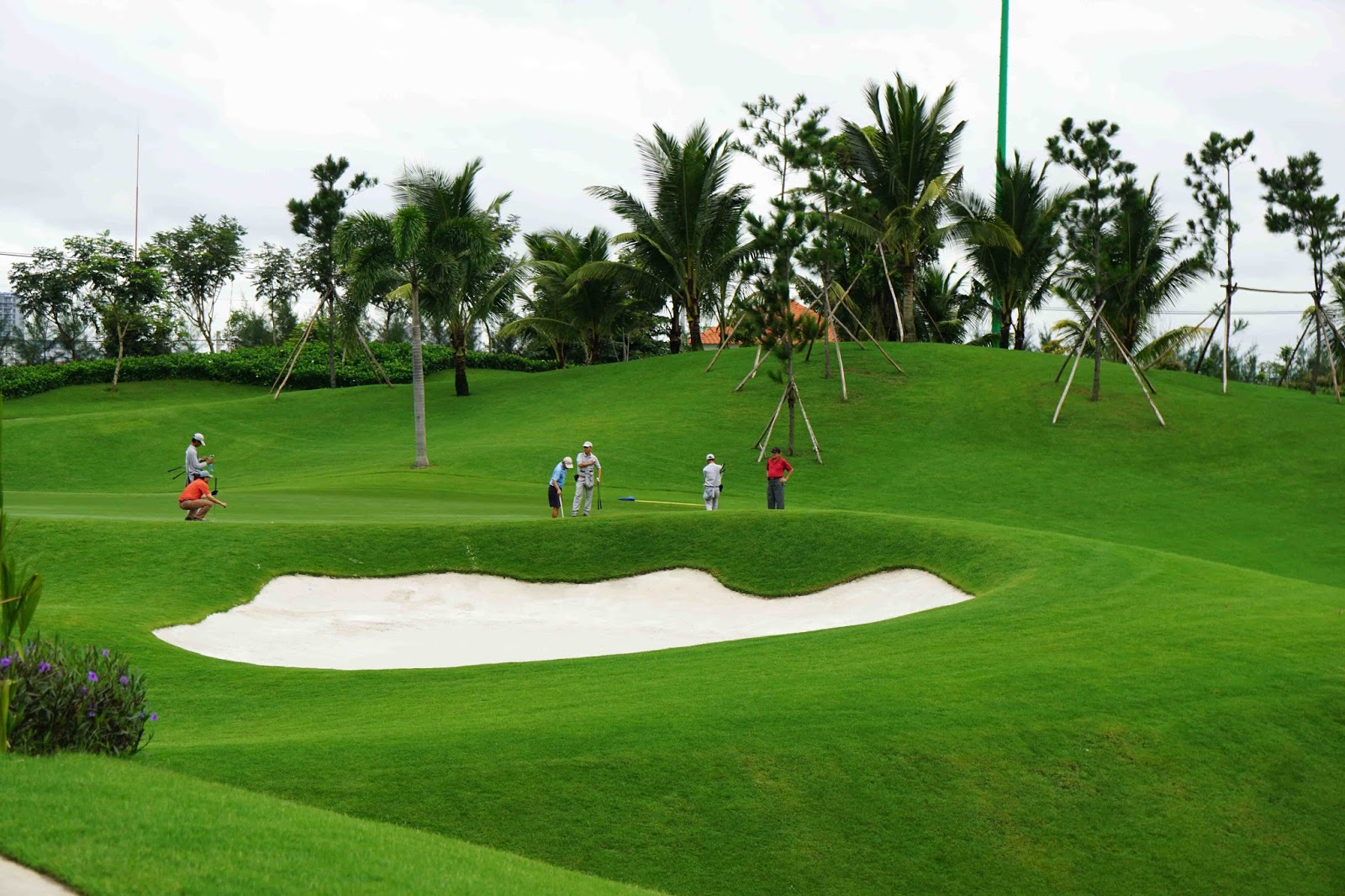 TOP GOLF OF VIET NAM-HO CHI MINH : TEAKWANG JEONGSAN Golf Club - THE BLUFFS Golf Club  - TAN SON NHAT Golf Club- 03 Day  03 Golf -Tour code: SGN-3D3G/B